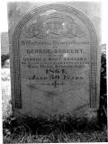 image of grave number 27878